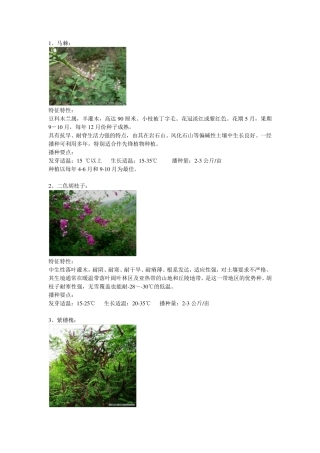 边坡绿化常用灌木资料