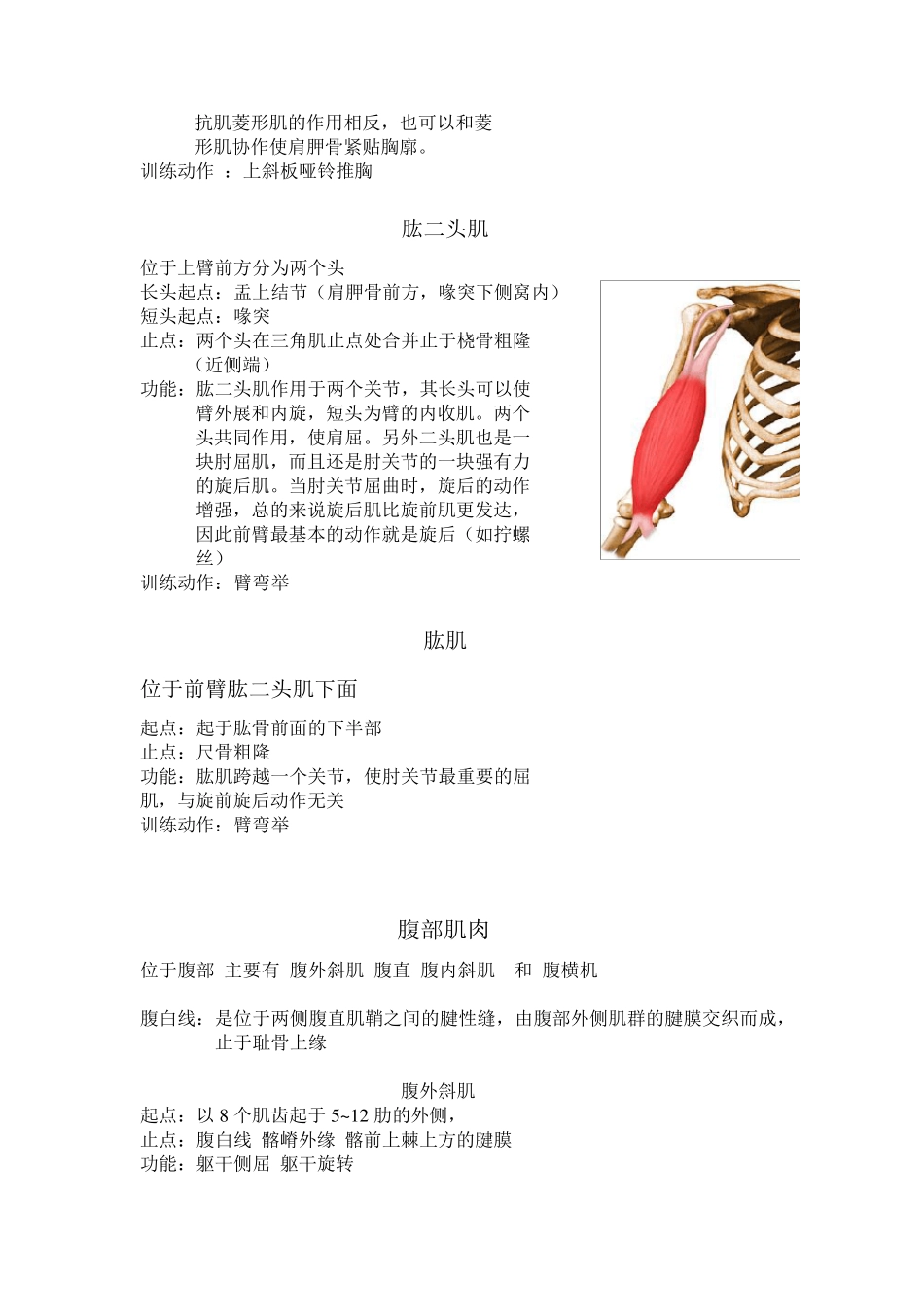 运动系统肌肉起止点_第2页