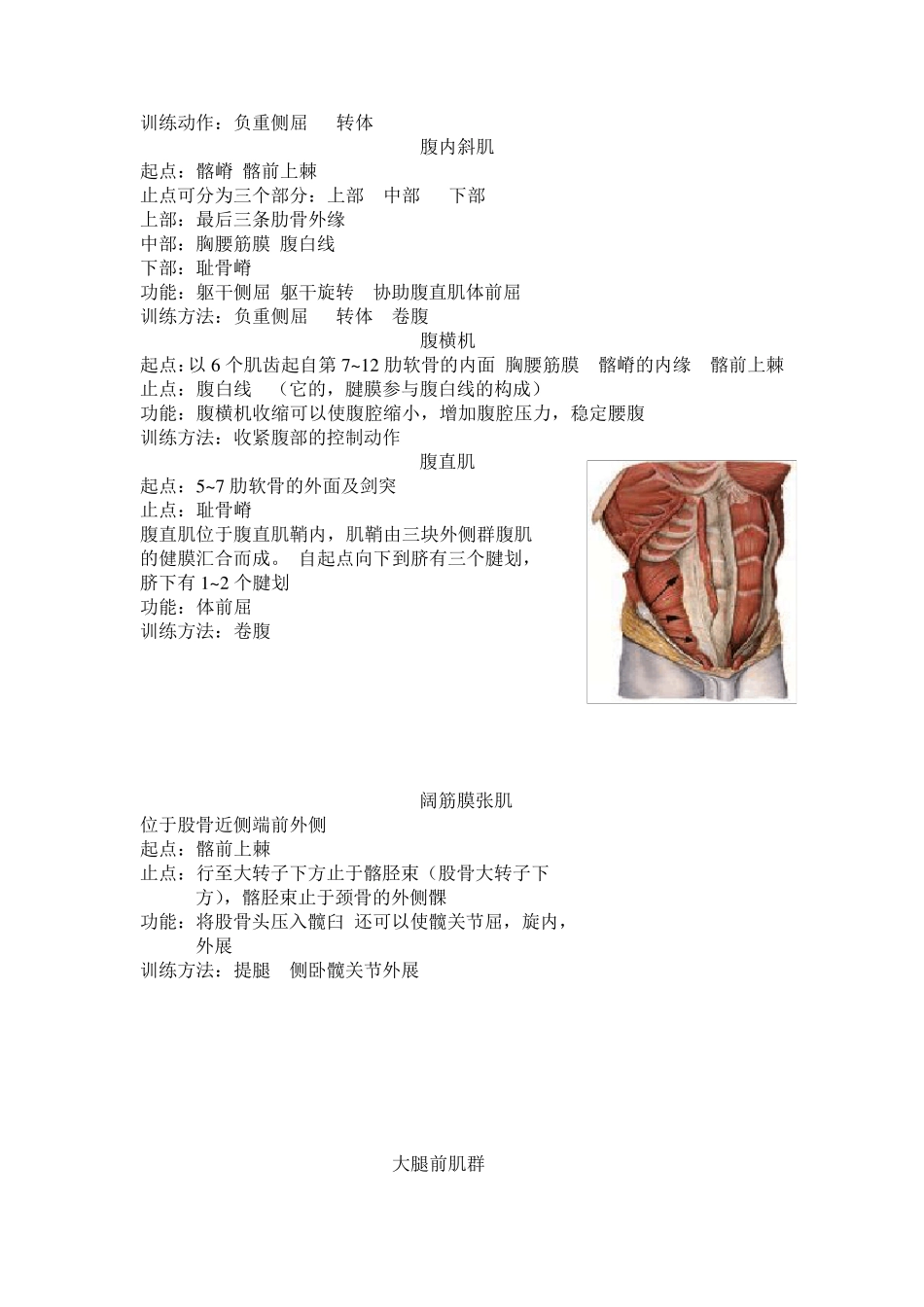 运动系统肌肉起止点_第3页