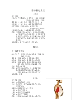 运动系统肌肉起止点