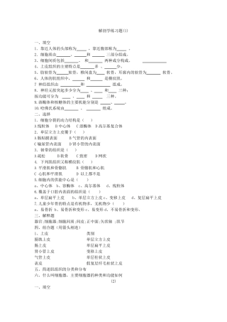 运动解剖学期末试题