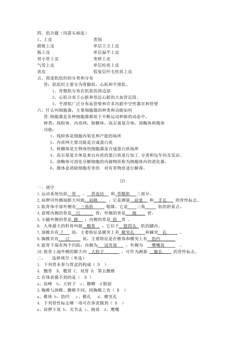 运动解剖学练习题_第2页