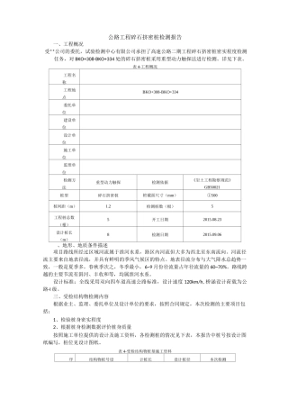 重型动力触探检测报告