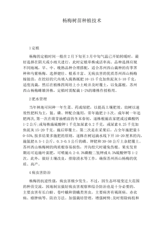 杨梅树苗种植技术