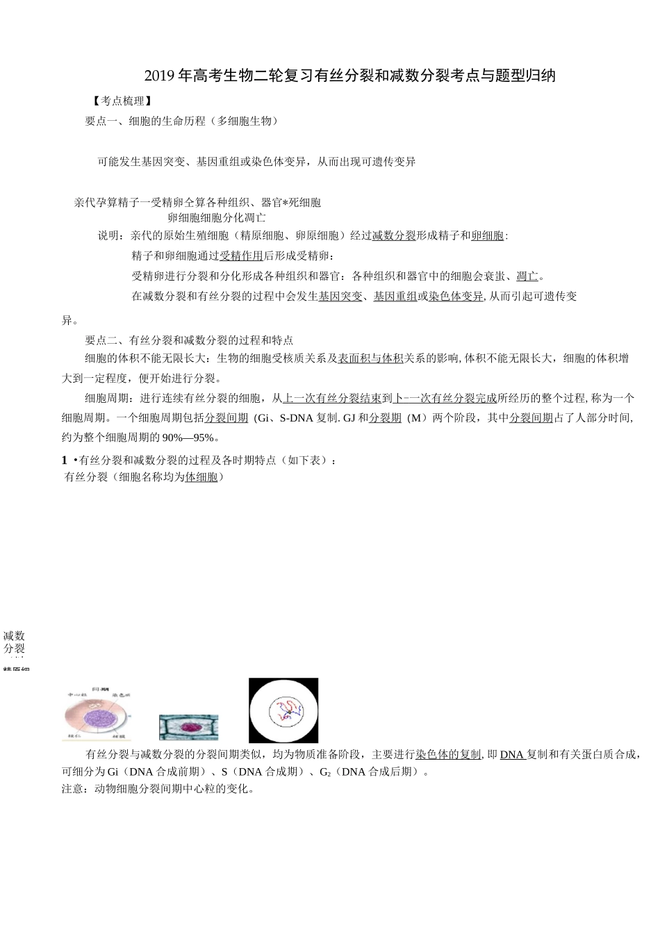 有丝分裂和减数分裂考点与题型归纳_第1页