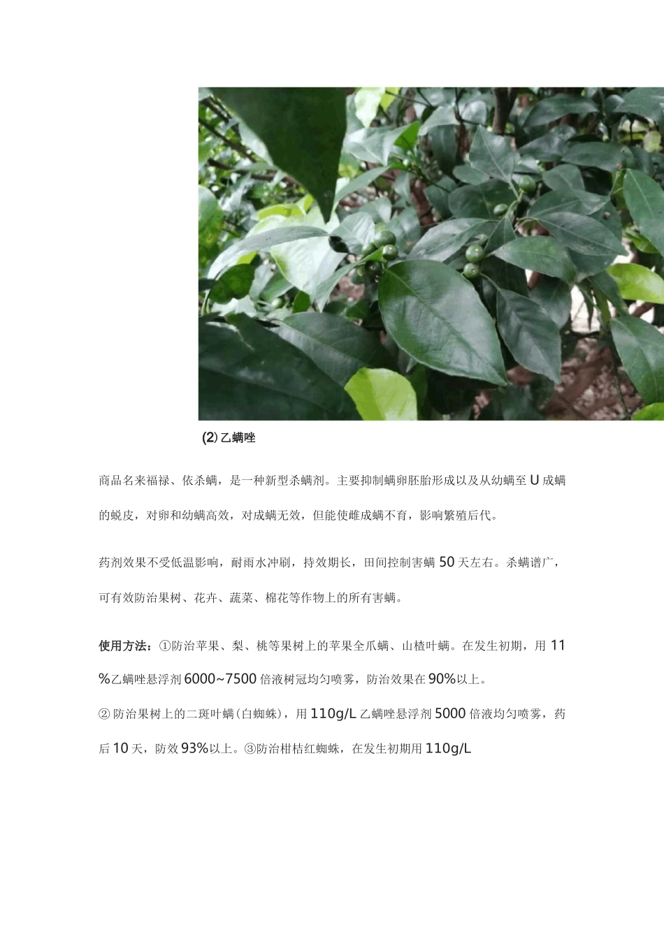 螺螨酯、螺虫乙酯和乙螨唑三种长效杀螨剂_第2页