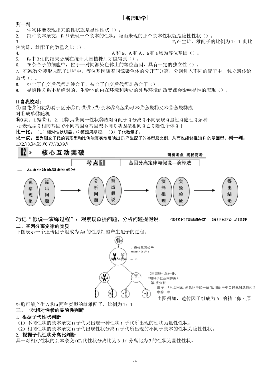 基因分离定律_第3页