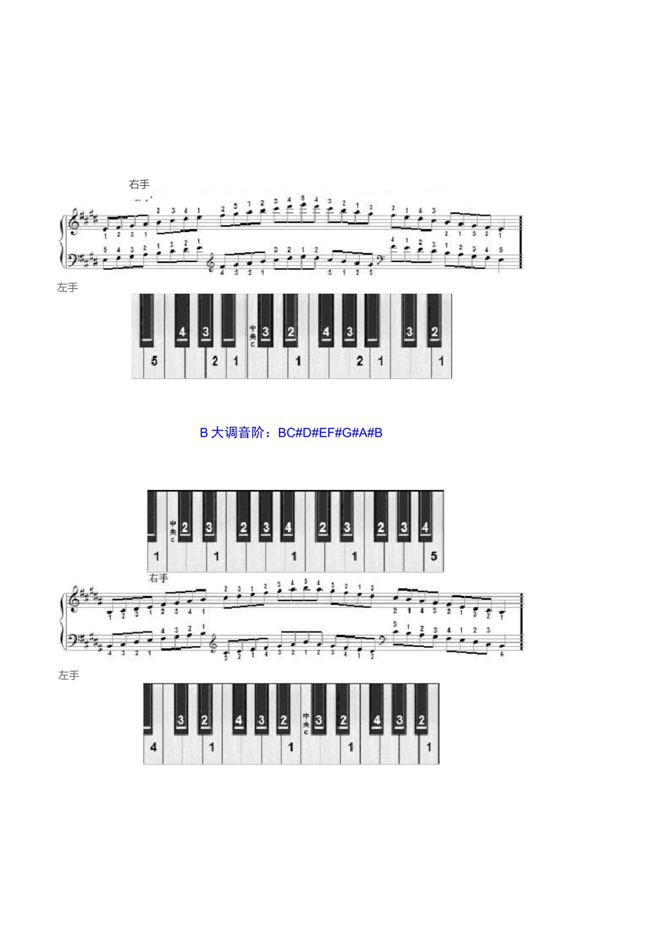 十二调音阶图_第3页