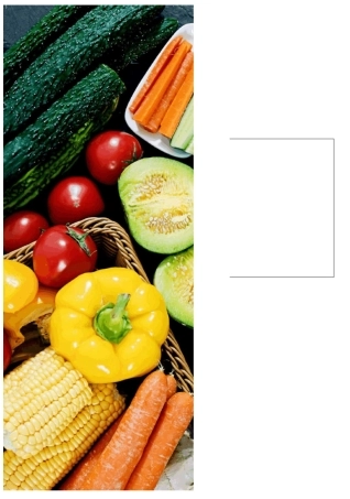 农业种植创业计划书