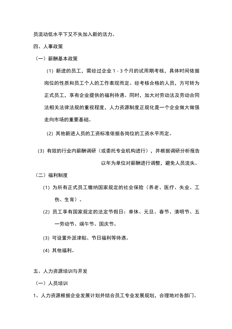 人力资源规划方案模板_第3页