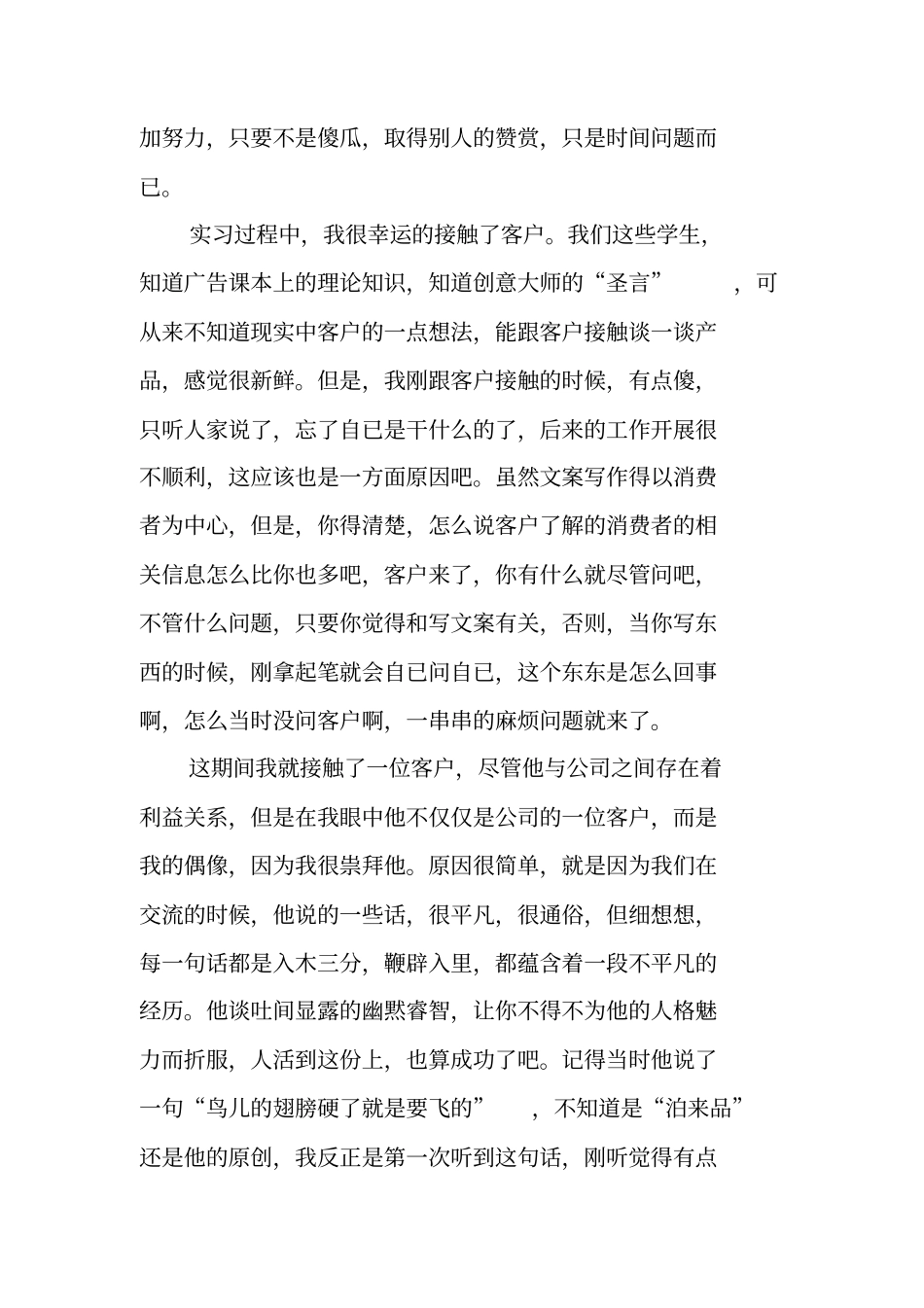 暑期广告文案实习总结_第3页