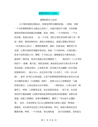 暑期挂职实习总结【可编辑版】