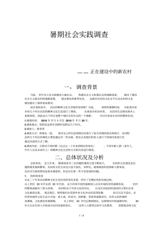 暑期社会实践报告正在发展的农村