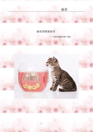 曲奇营销的策划书