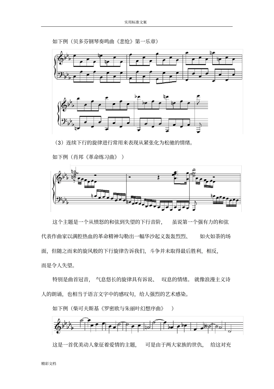 曲式与作品分析报告_第3页