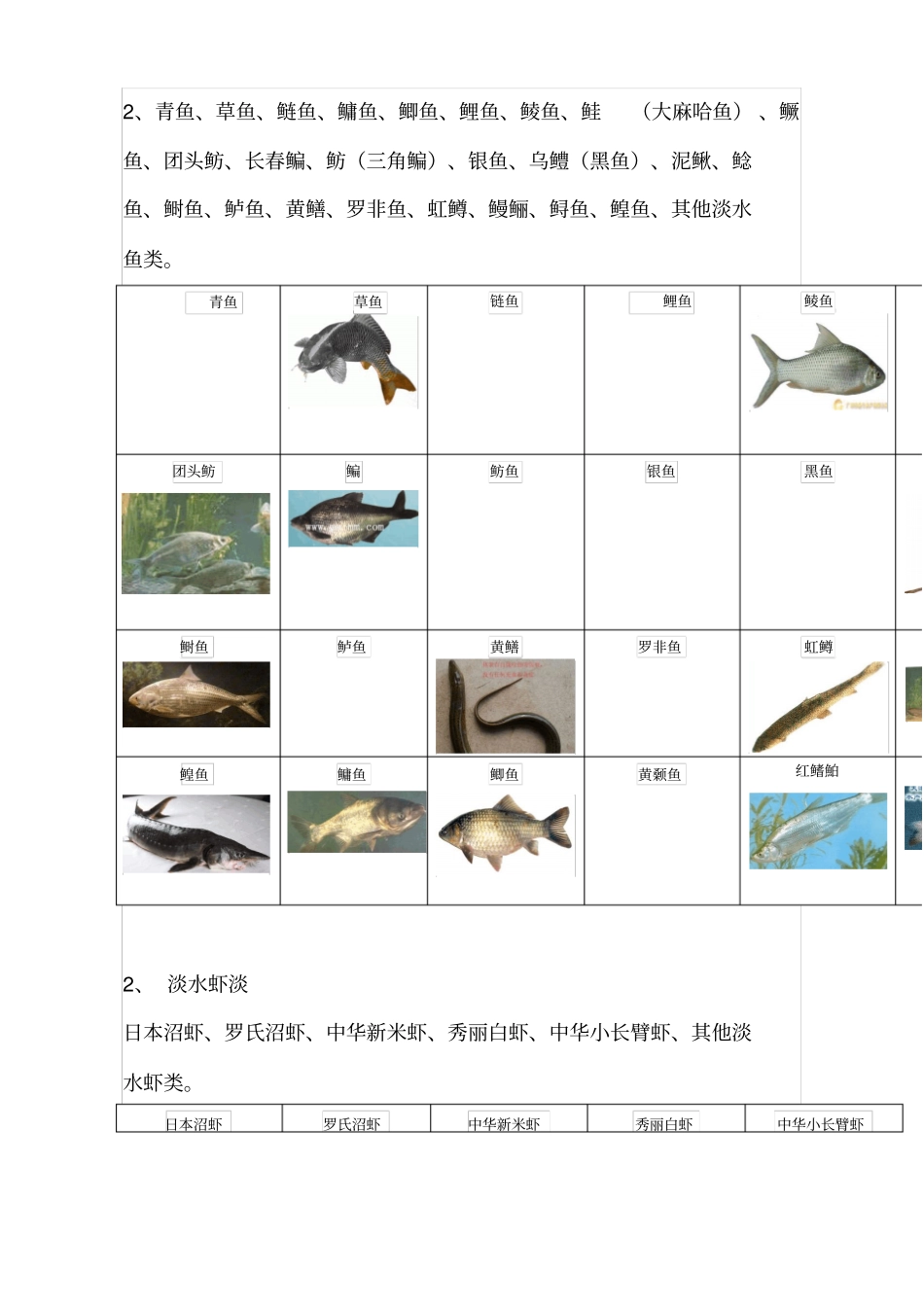 最全水产品分类情况_第3页