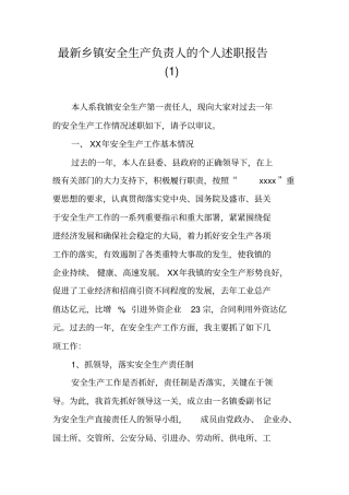 最新乡镇安全生产负责人的个人述职报告