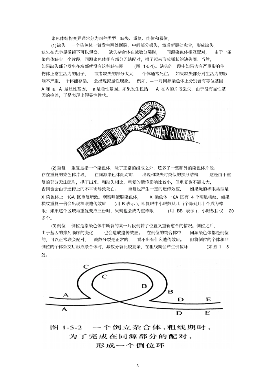最新人教版2018年高中生物竞赛辅导资料：遗传学与进化_第3页