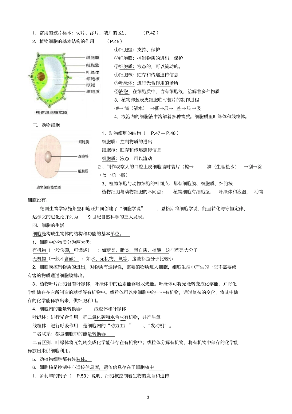 最新人教版生物七年级上册复习资料汇总_第3页