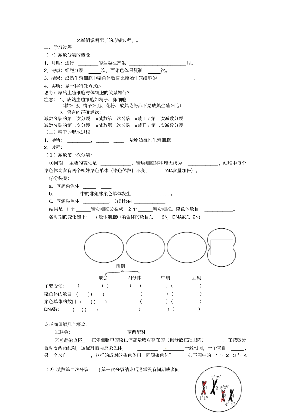 最新人教版高中生物必修二第1节减数分裂导学案1_第2页