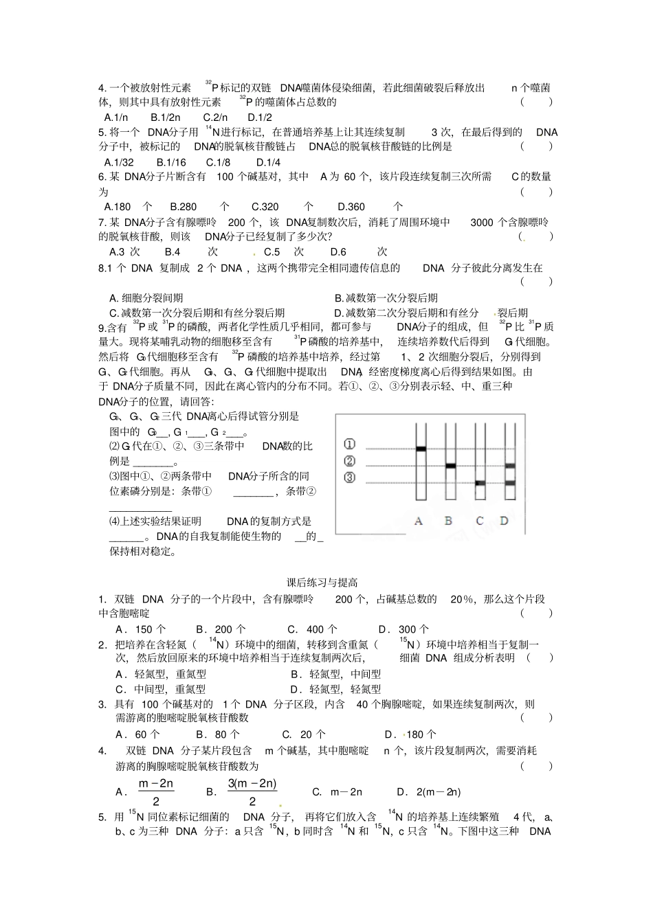 最新人教版高中生物必修二第3节DNA的复制导学案_第3页