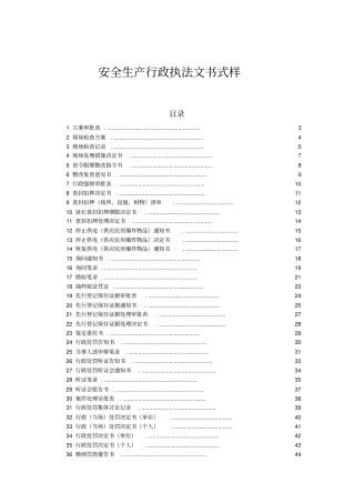 最新安全生产行政执法文书模板