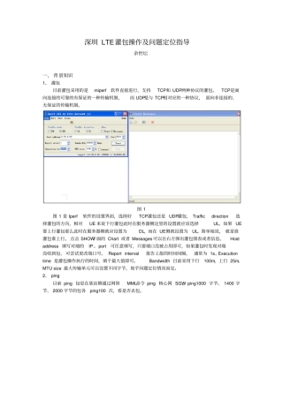 最新完美版深圳LTE灌包操作及问题定位指导-余世坛