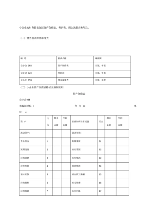 最新小企业财务报表213版及填表说明