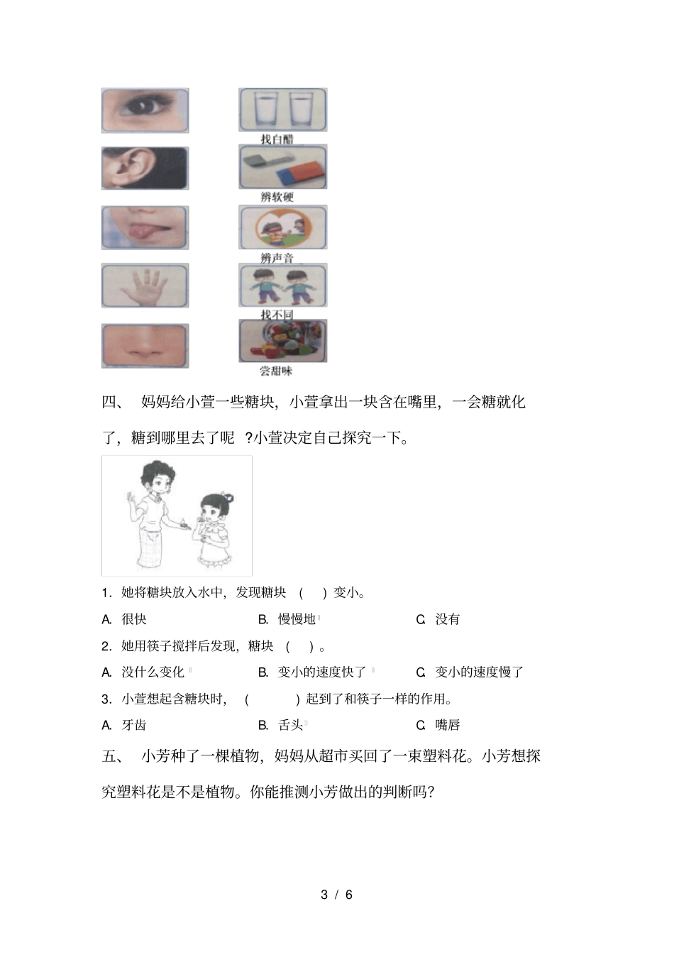 最新教科版一年级科学上册期末练习题及答案_第3页