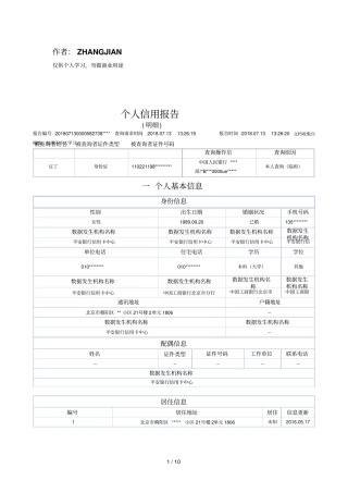 最新版人民银行个人征信报告样本-可更改x11