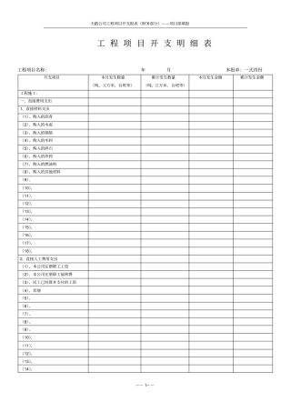 最新项目开支明细表精品