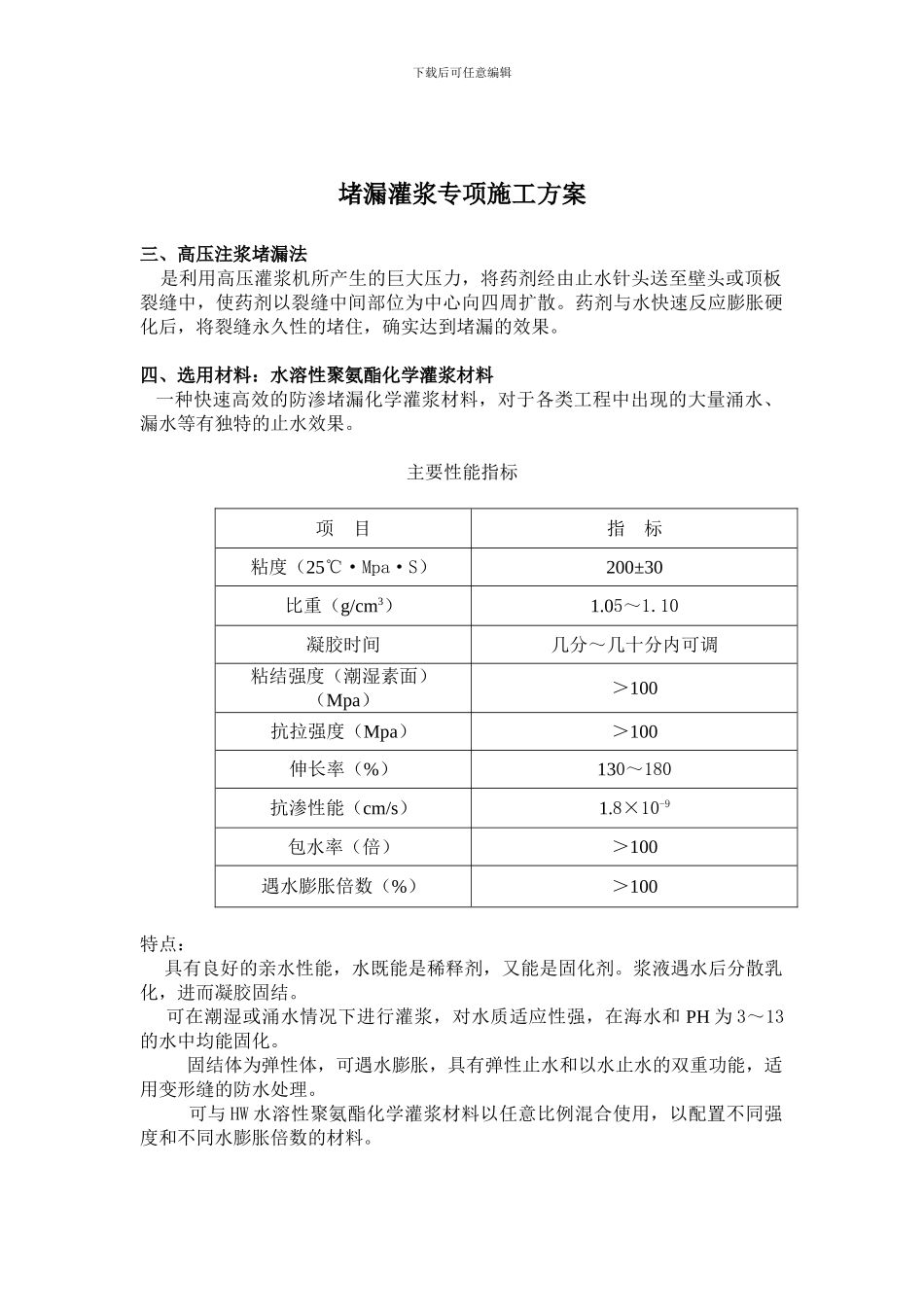 堵漏灌浆专项施工方案_第1页