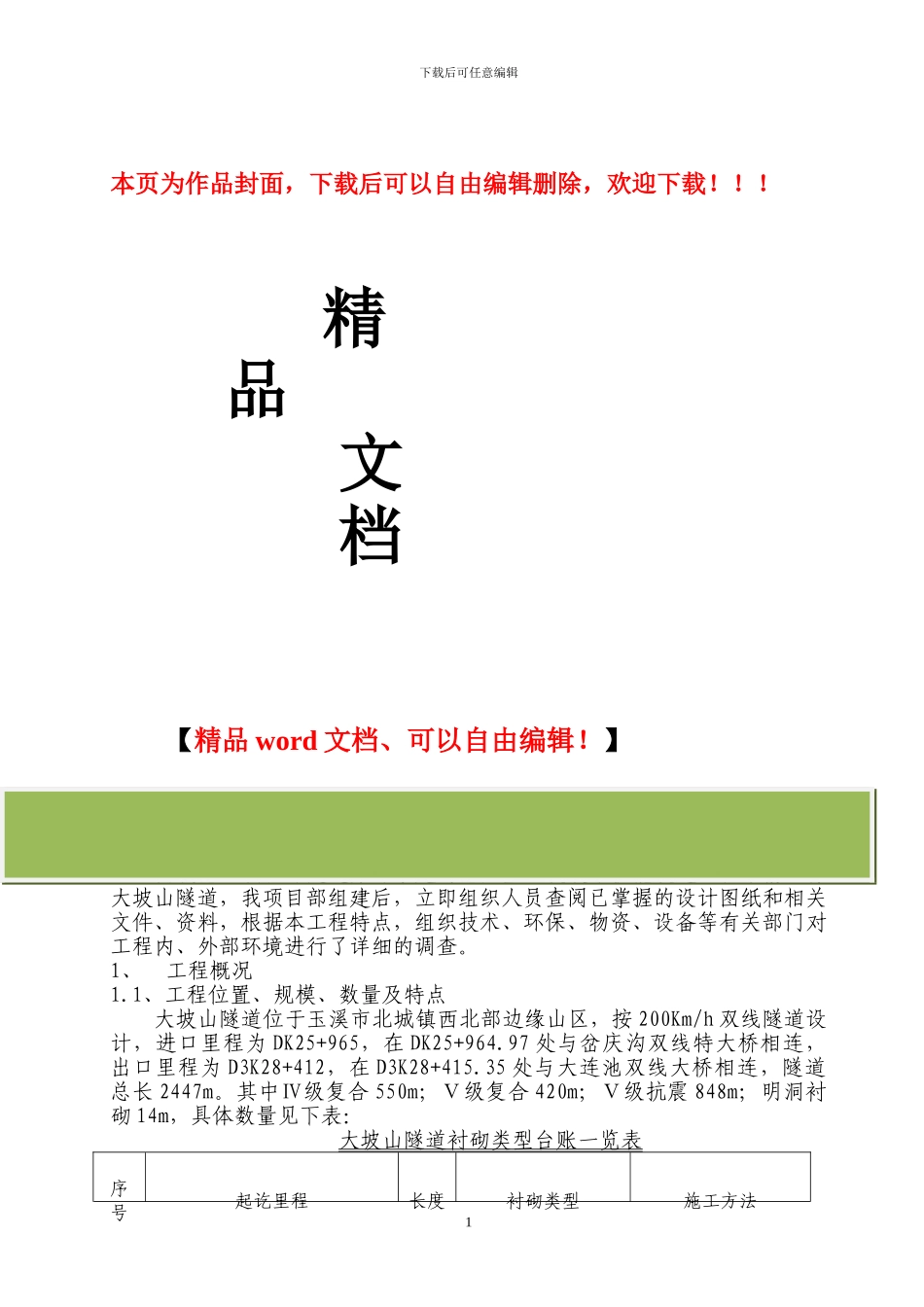 大坡山隧道施工调查报告_第1页