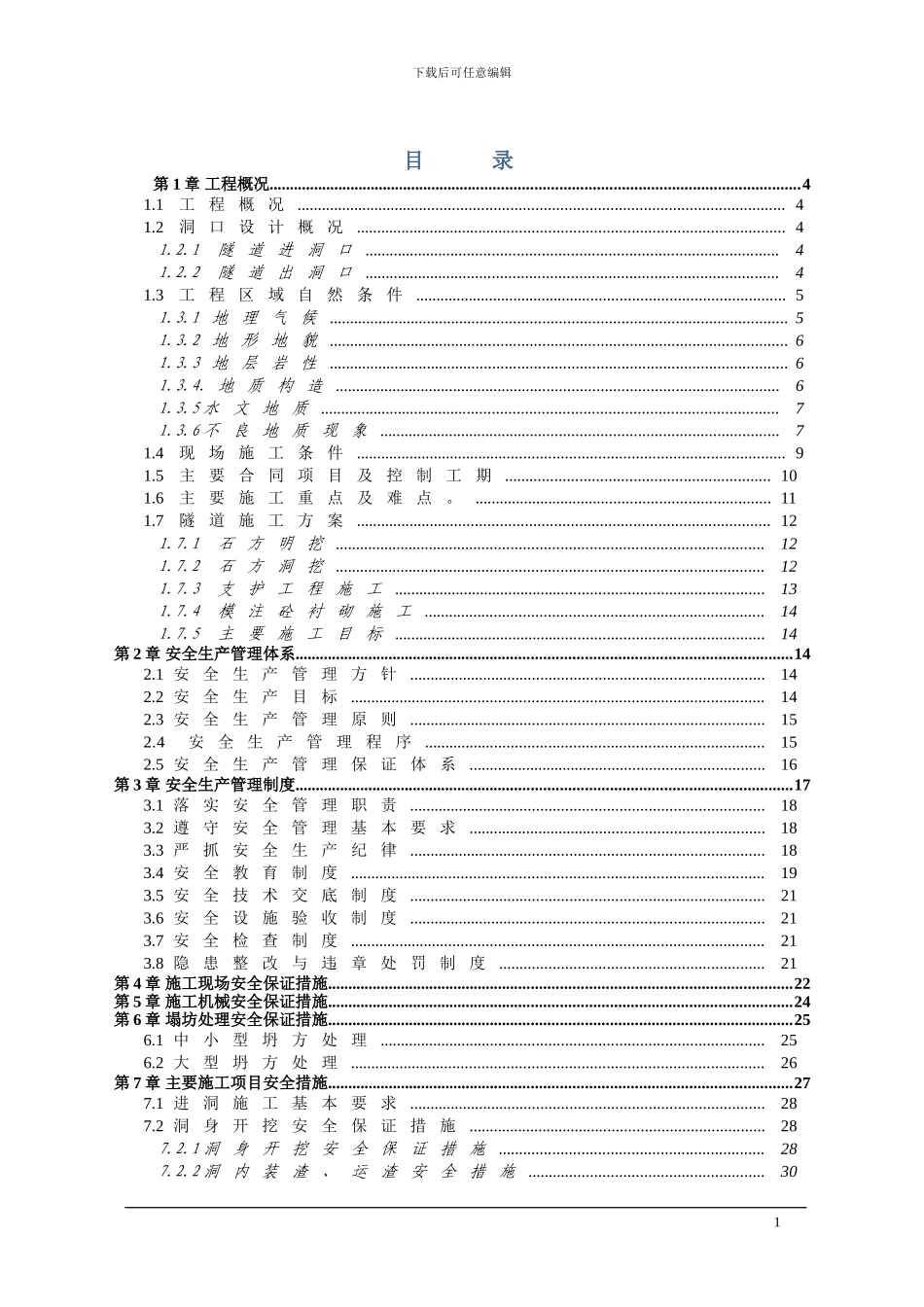 大河隧道安全文明施工专项施工方案_第1页