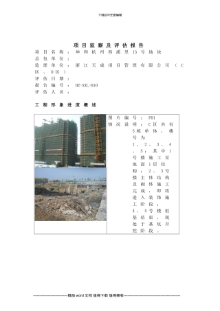 工程)项目评估报告