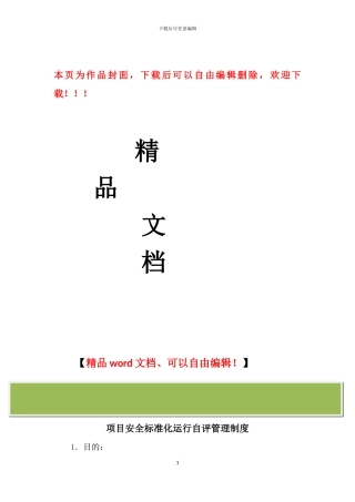 工程项目安全生产标准化自评管理制度-文档