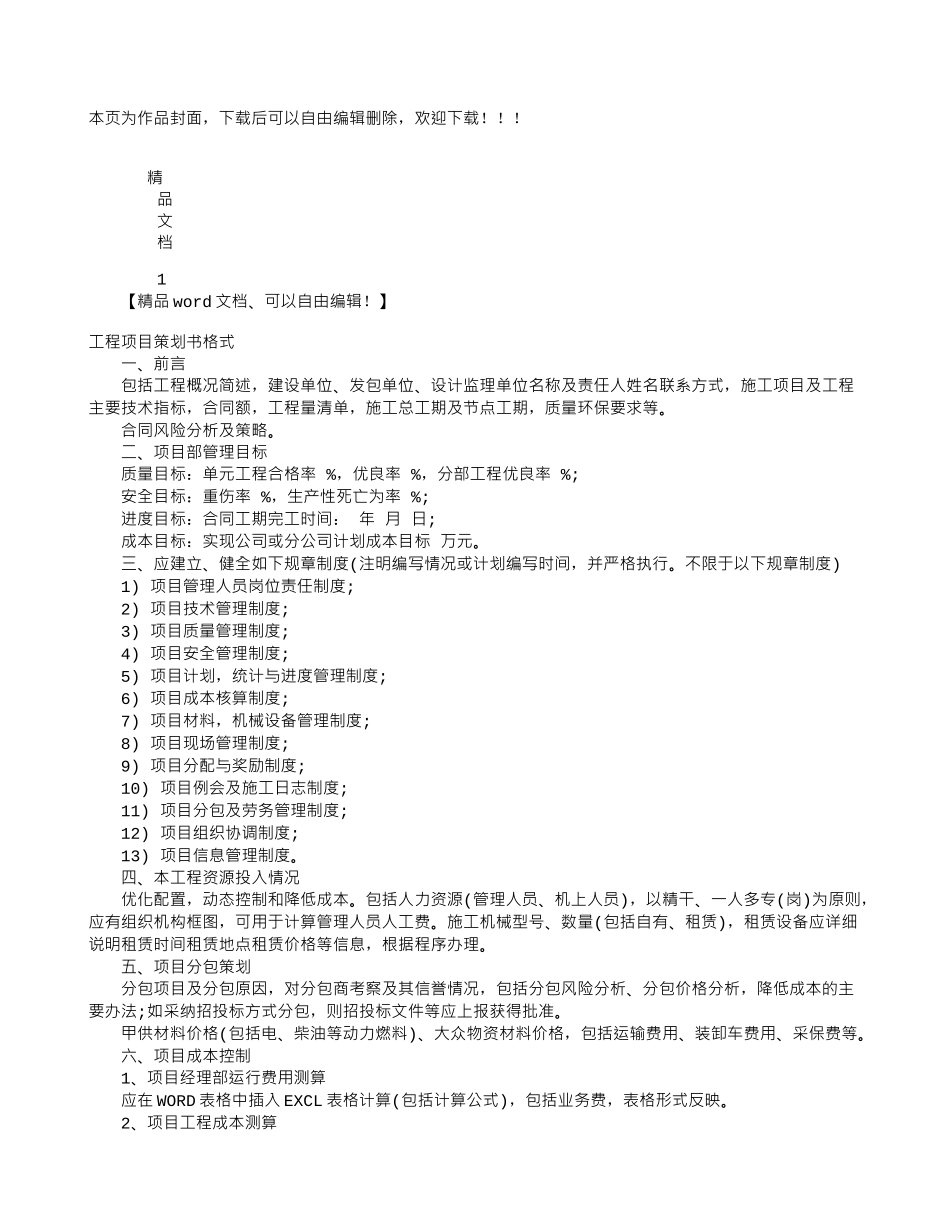 工程项目策划书格式_第1页