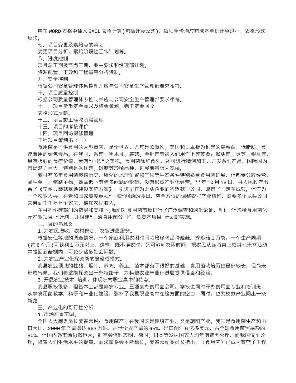 工程项目策划书格式_第2页