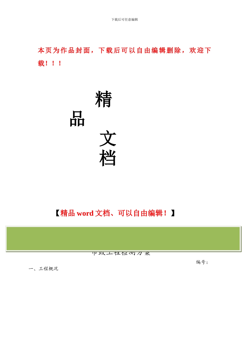 市政工程检测方案_第1页