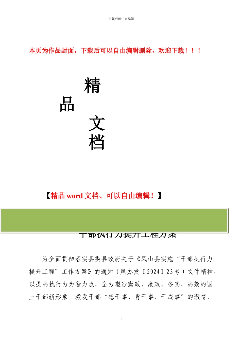 干部执行力提升工程方案_第1页