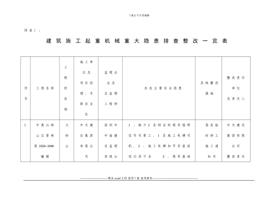 建筑施工起重机械重大隐患排查整改一览表_第1页