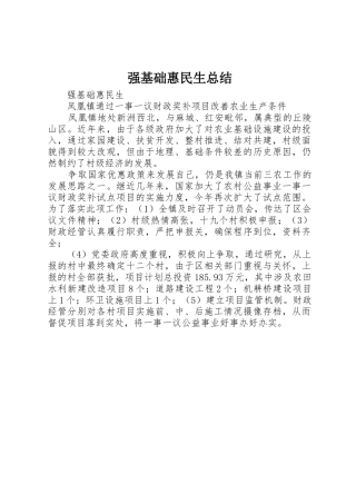 强基础惠民生总结