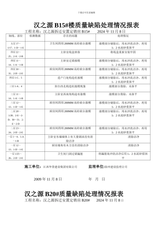 建设工程质量缺陷处理情况表格