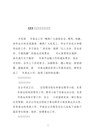 运输春运工作总结