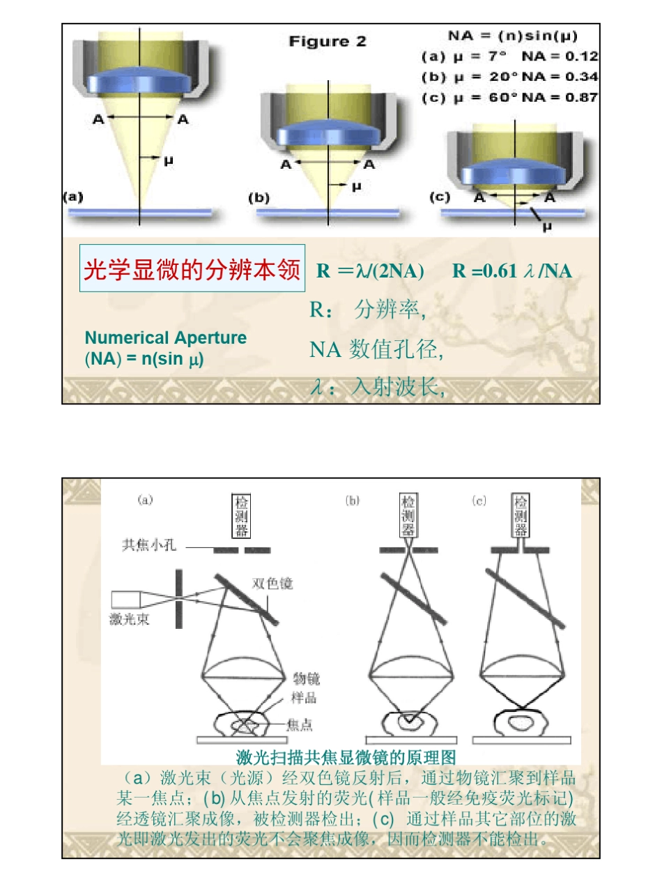 近场光学和近场光学显微镜_第3页