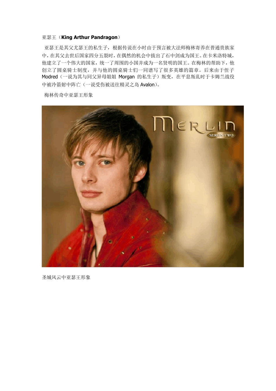 还原真实的亚瑟王与圆桌骑士的故事(摘自人人)_第2页