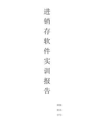 进销存实训报告