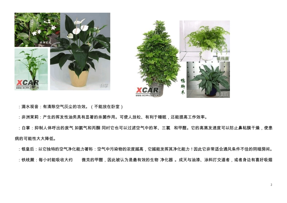 适合养在办公室的18种植物功效详解_第2页
