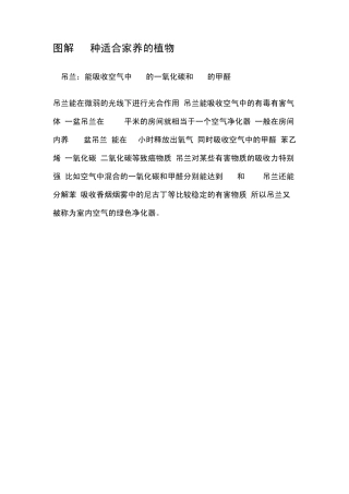 适合家养的18种植物