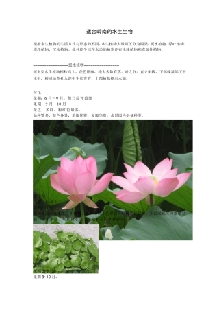 适合岭南的水生植物和水边植物